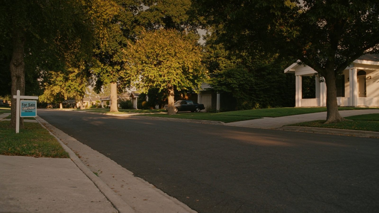 The Role of Local SEO in Helping Real Estate Companies Dominate Their Market